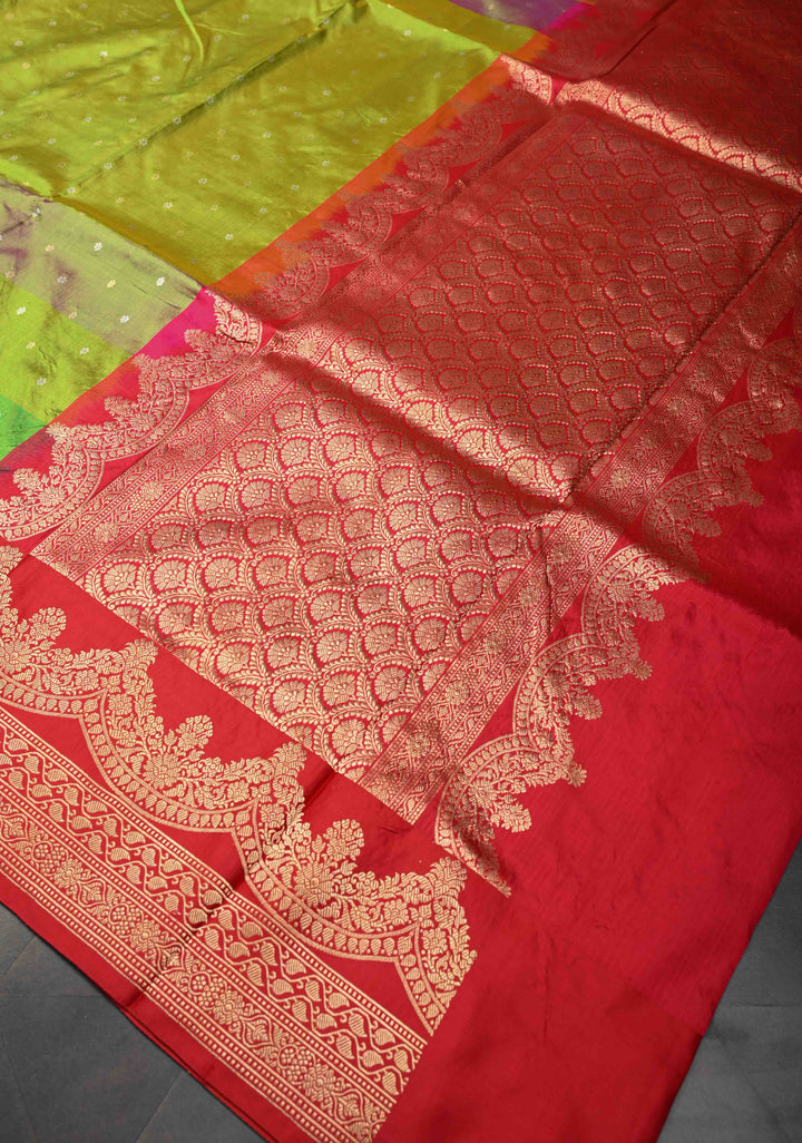 Multi color Chunri Buttis on Pure Banarasi Katan Silk Saree with Color Panels and Scallop Border | SILK MARK CERTIFIED