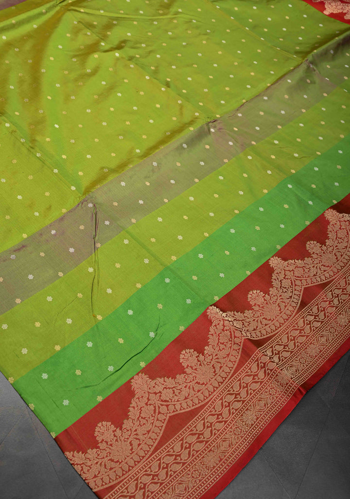 Multi color Chunri Buttis on Pure Banarasi Katan Silk Saree with Color Panels and Scallop Border | SILK MARK CERTIFIED