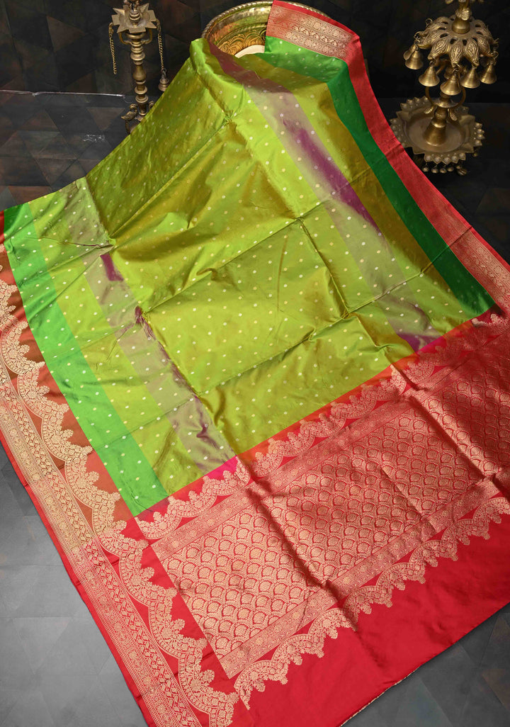 Multi color Chunri Buttis on Pure Banarasi Katan Silk Saree with Color Panels and Scallop Border | SILK MARK CERTIFIED