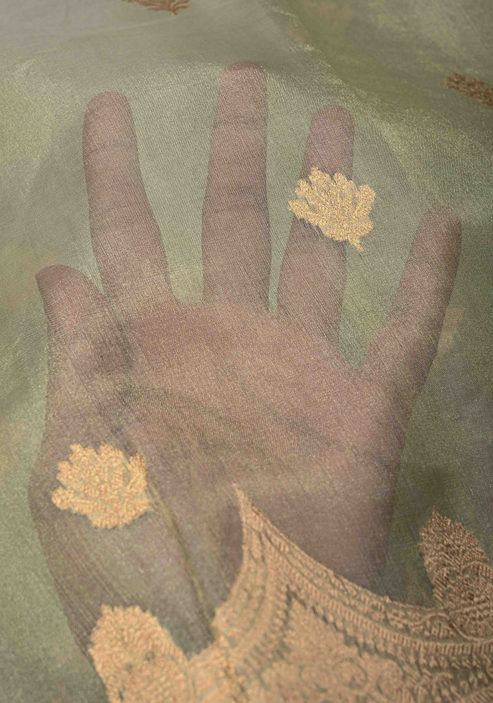 Sage Green Pure Banarasi Organza Tissue Silk Saree with Zari Buttas and Scallop Border | SILK MARK CERTIFIED