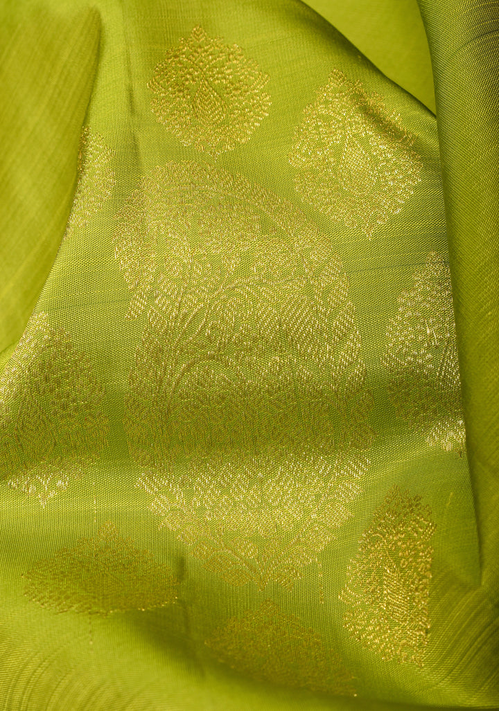 Chartreuse Borderless Kanjivaram Silk Saree with Paisley Buttas and Contrast Pallu | SILK MARK CERTIFIED