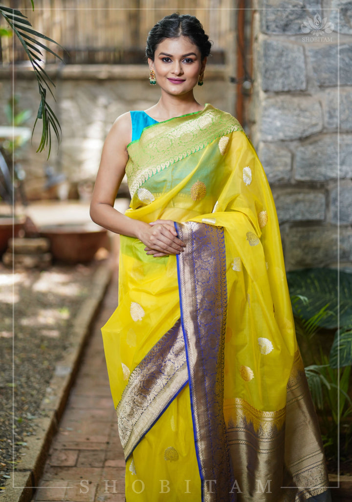 Banarasi Silk Organza Saree in Yellow with Ganga Jamuna Borders | SILK MARK CERTIFIED