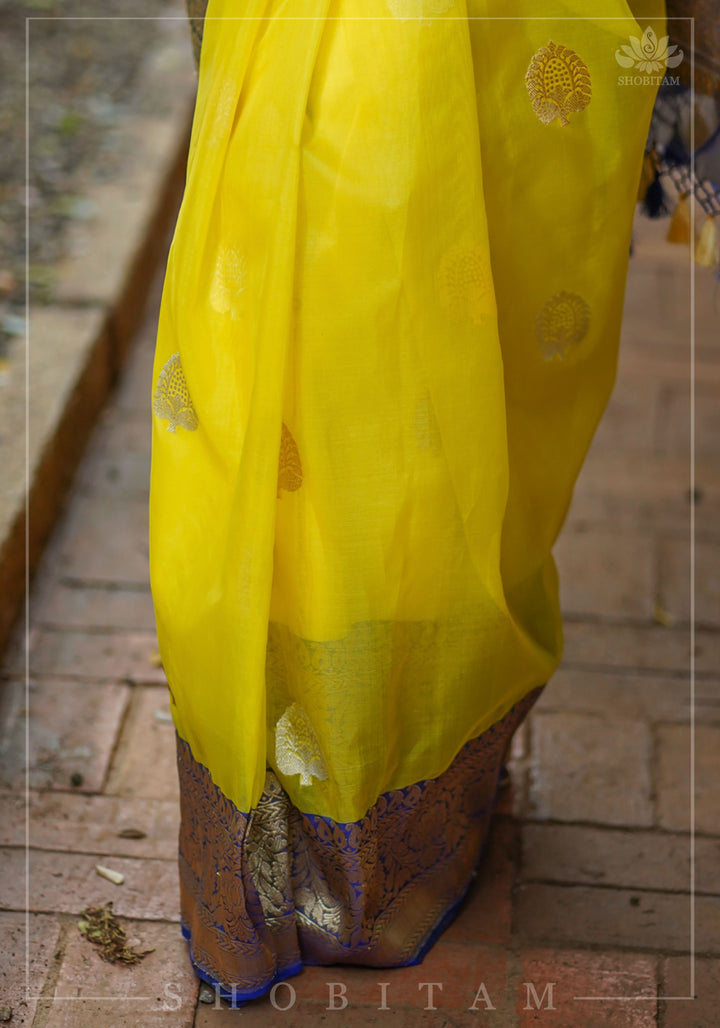Banarasi Silk Organza Saree in Yellow with Ganga Jamuna Borders | SILK MARK CERTIFIED