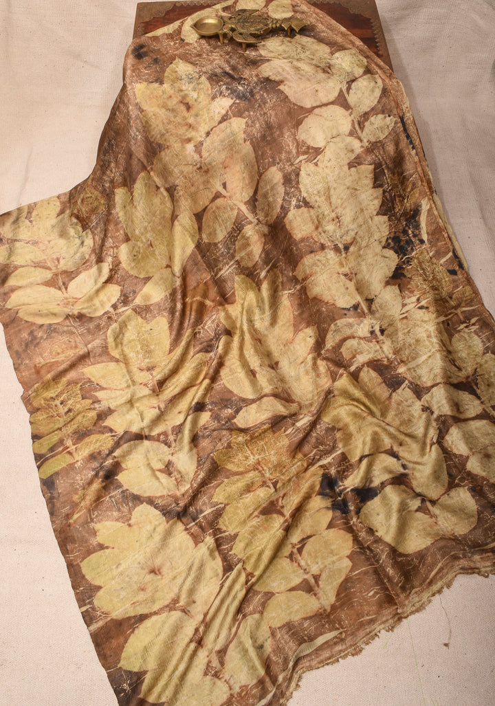 Real Leaf Eco Print On Pure Silk Saree in Brown and Green | SILK MARK CERTIFIED