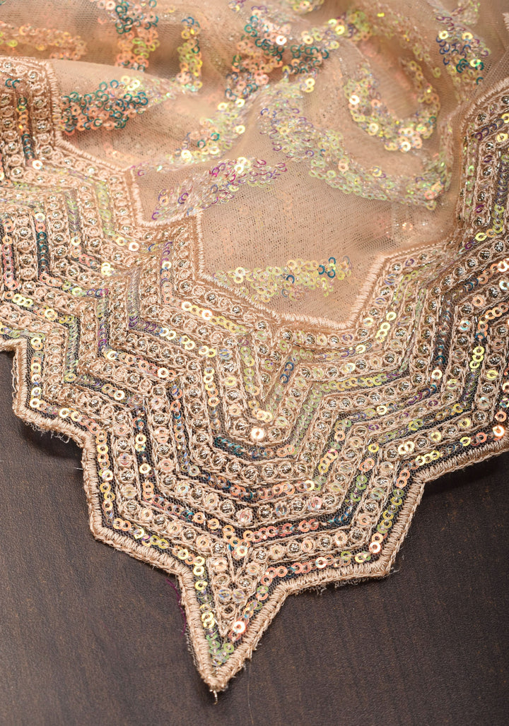 Light Champagne Color Swirl Design Sequins on Net Saree