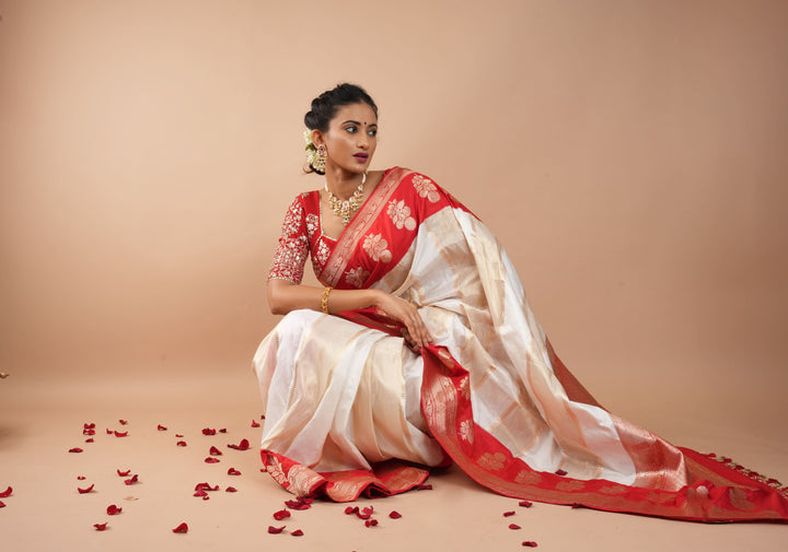 Unique Design White Dual tone Jharoka Pattern Pure Katan Silk saree with Contrast Zari borders | SILK MARK CERTIFIED