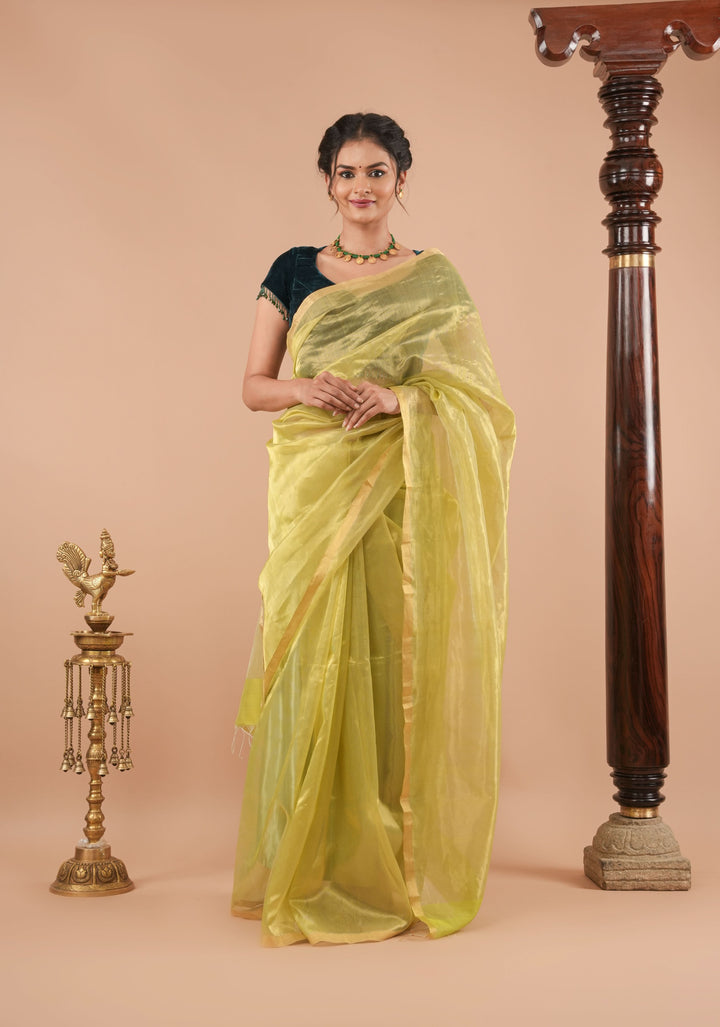 Pistachio Green and Gold  Half and Half Tissue Stripes Maheshwari Silk Cotton Saree