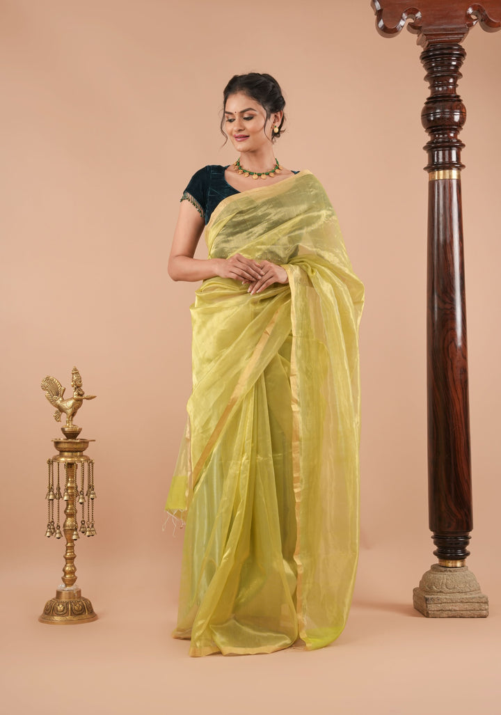 Pistachio Green and Gold  Half and Half Tissue Stripes Maheshwari Silk Cotton Saree