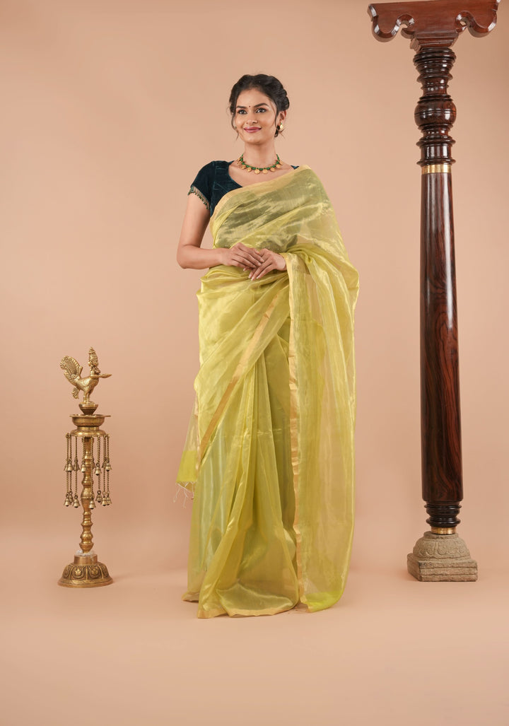 Pistachio Green and Gold  Half and Half Tissue Stripes Maheshwari Silk Cotton Saree
