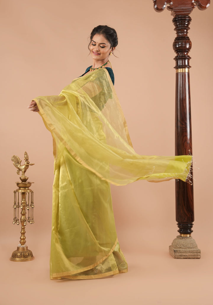 Pistachio Green and Gold  Half and Half Tissue Stripes Maheshwari Silk Cotton Saree
