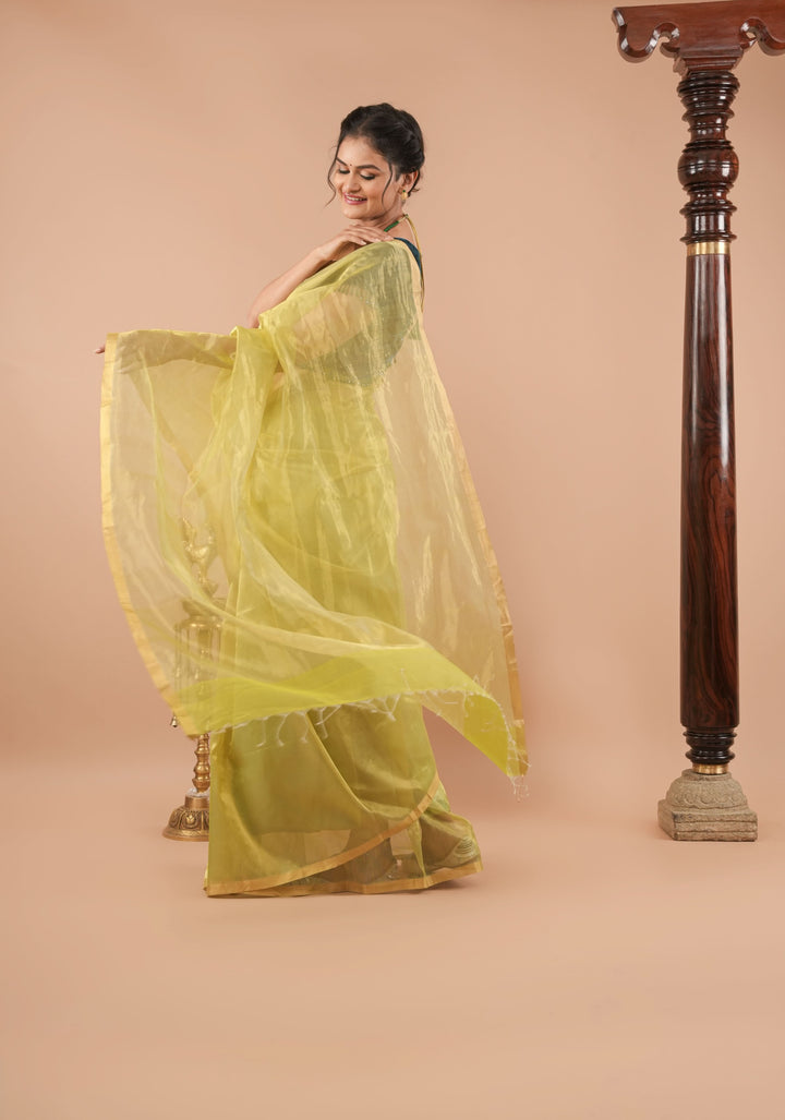 Pistachio Green and Gold  Half and Half Tissue Stripes Maheshwari Silk Cotton Saree