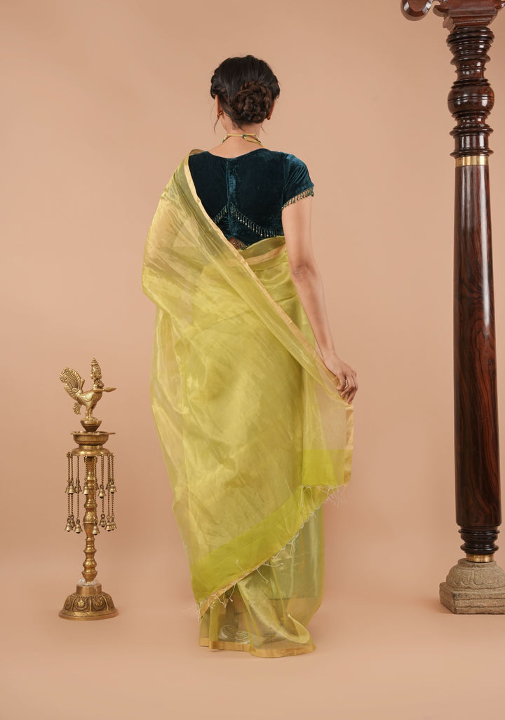 Pistachio Green and Gold  Half and Half Tissue Stripes Maheshwari Silk Cotton Saree