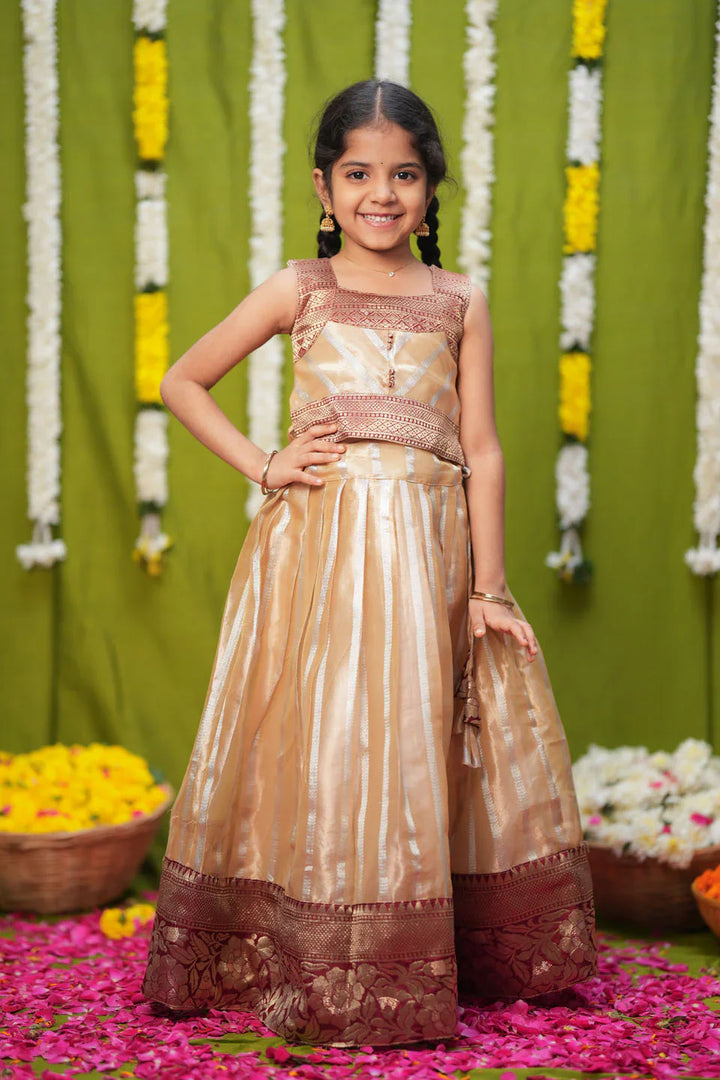 Pavitra Beige Organza Top & Skirt Mini | Made To Order