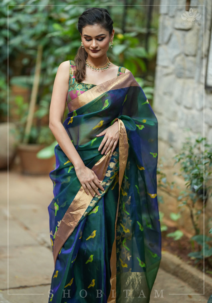 Meenakari Birds Chanderi Silk Saree in Blue Green Dual Tone
