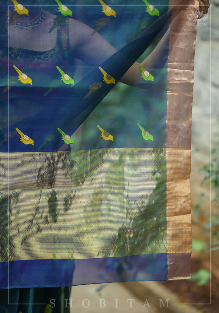Meenakari Birds Chanderi Silk Saree in Blue Green Dual Tone