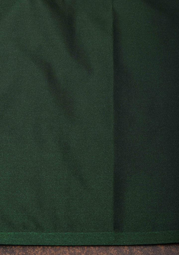 Tea Green Borderless Semi Silk Saree with Zari Stripes and Alfi Paisley Motifs