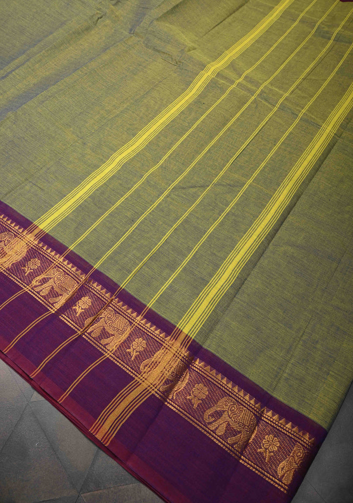 Green Kanchi Cotton Saree With Zari borders | No Blouse piece