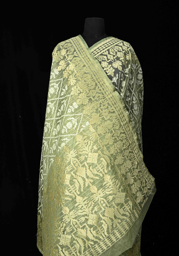 Pastel Green Handloom Banarasi Meenakari  Net Saree with Featuring Jamdani Style Embossed design | SILK MARK CERTIFIED