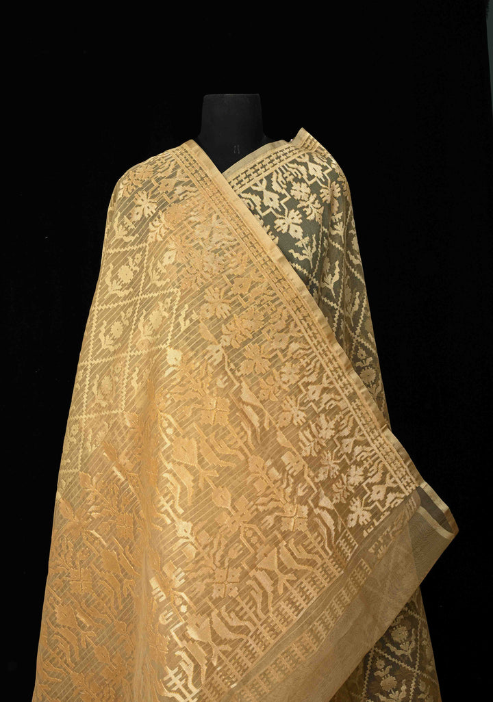 Golden hue Banarasi Net Handloom Saree with Zari Borders | SILK MARK CERTIFIED
