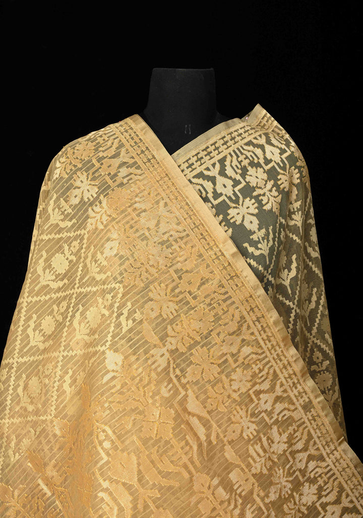 Golden hue Banarasi Net Handloom Saree with Zari Borders | SILK MARK CERTIFIED