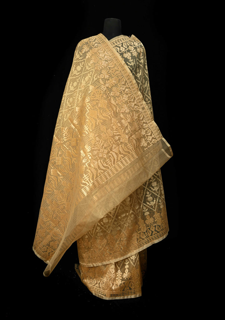 Golden hue Banarasi Net Handloom Saree with Zari Borders | SILK MARK CERTIFIED
