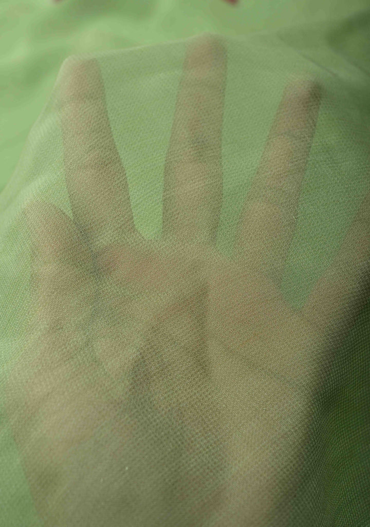 Pista Green Chiffon Saree with Floral Digital Prints