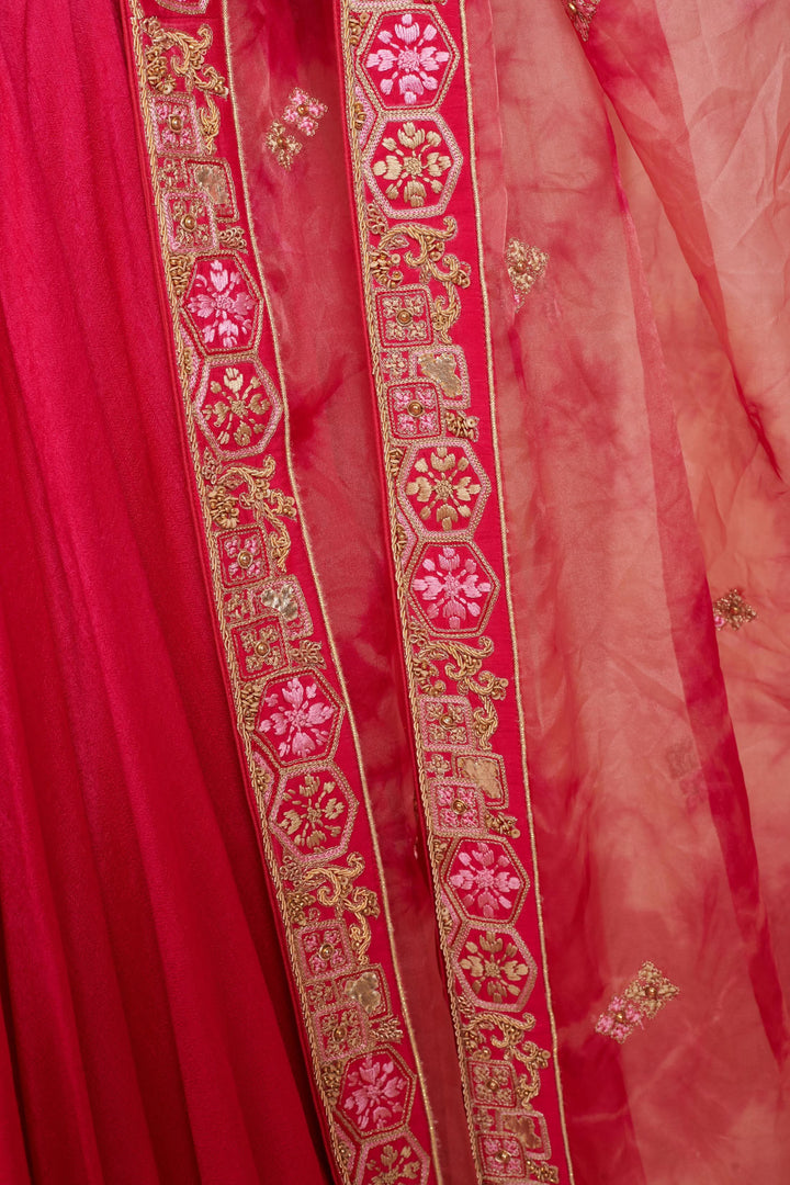 Sangria Charm Lehenga with embroidery, Customizable, Made to Order