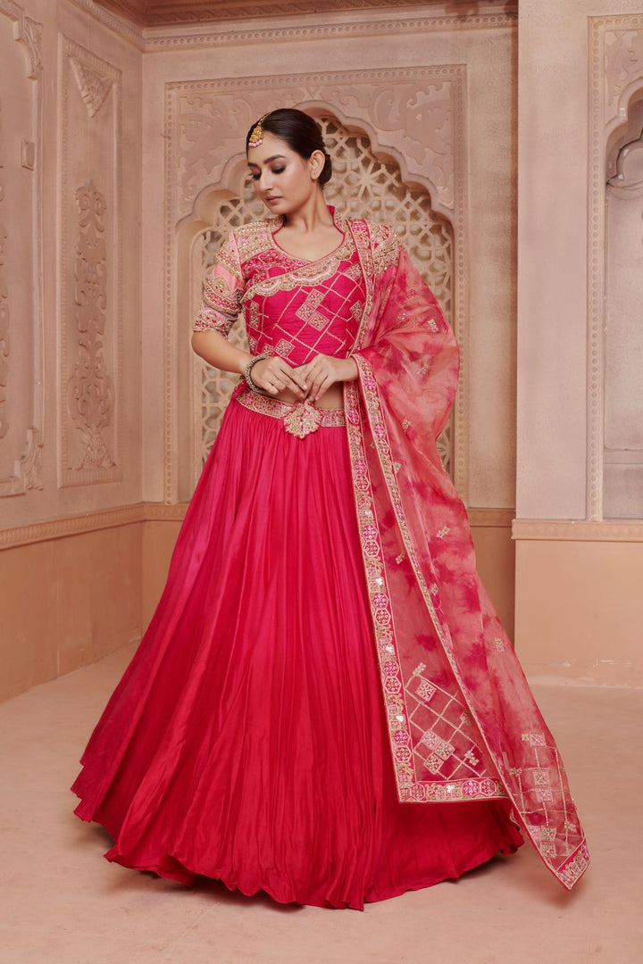 Sangria Charm Lehenga with embroidery, Customizable, Made to Order