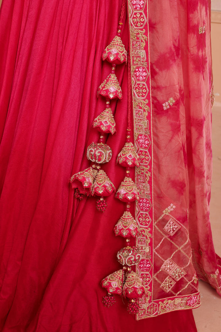 Sangria Charm Lehenga with embroidery, Customizable, Made to Order