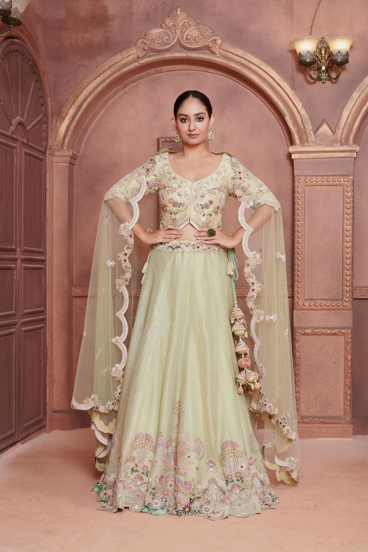 Mint Garden Organza Lehenga with embroidery, Customizable, Made to Order