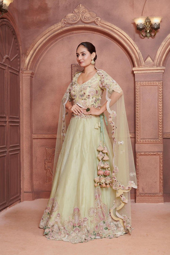 Mint Garden Organza Lehenga with embroidery, Customizable, Made to Order