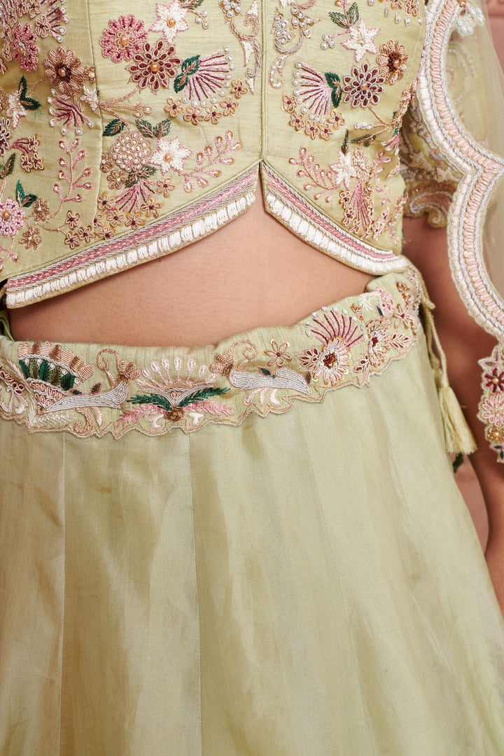 Mint Garden Organza Lehenga with embroidery, Customizable, Made to Order