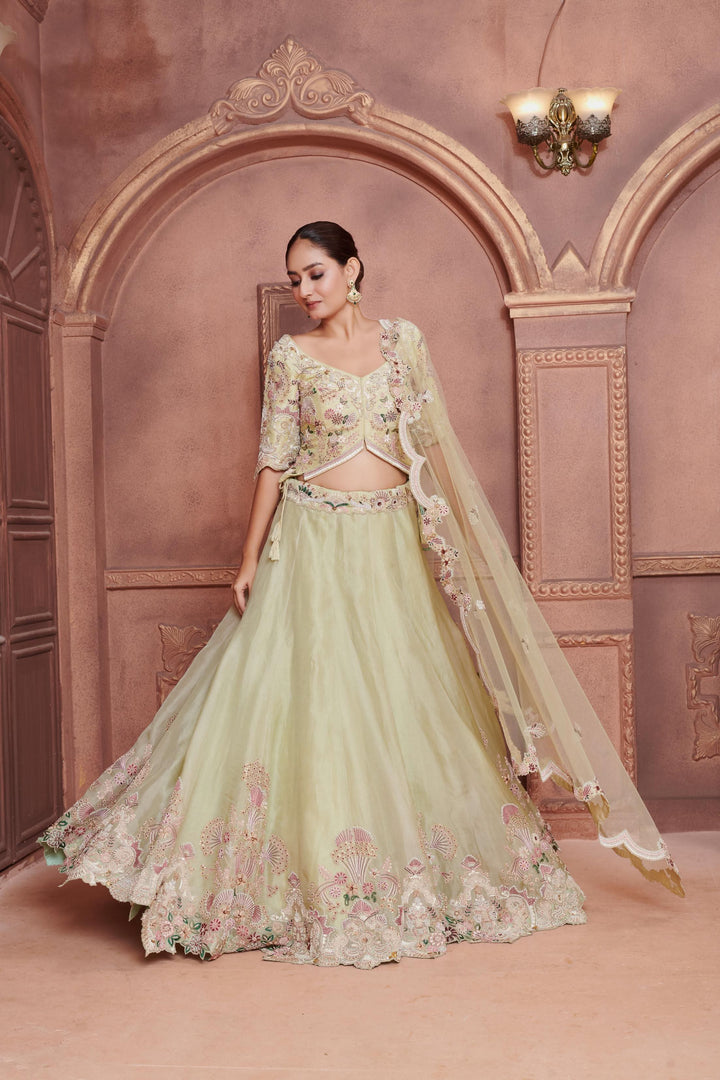 Mint Garden Organza Lehenga with embroidery, Customizable, Made to Order