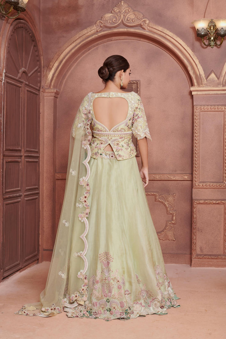 Mint Garden Organza Lehenga with embroidery, Customizable, Made to Order