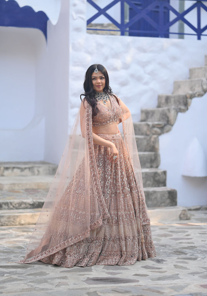 Golden Goddess Chikoo Color Wedding Lehenga with Handwork embellishments on net, Customizable, Made to Order