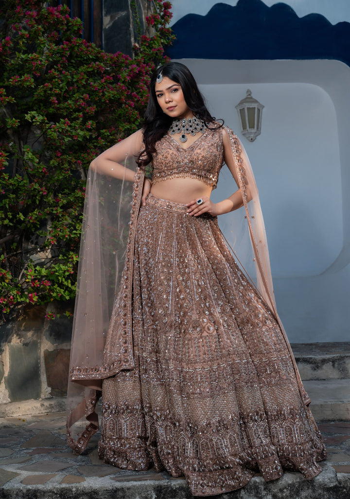 Golden Goddess Chikoo Color Wedding Lehenga with Handwork embellishments on net, Customizable, Made to Order