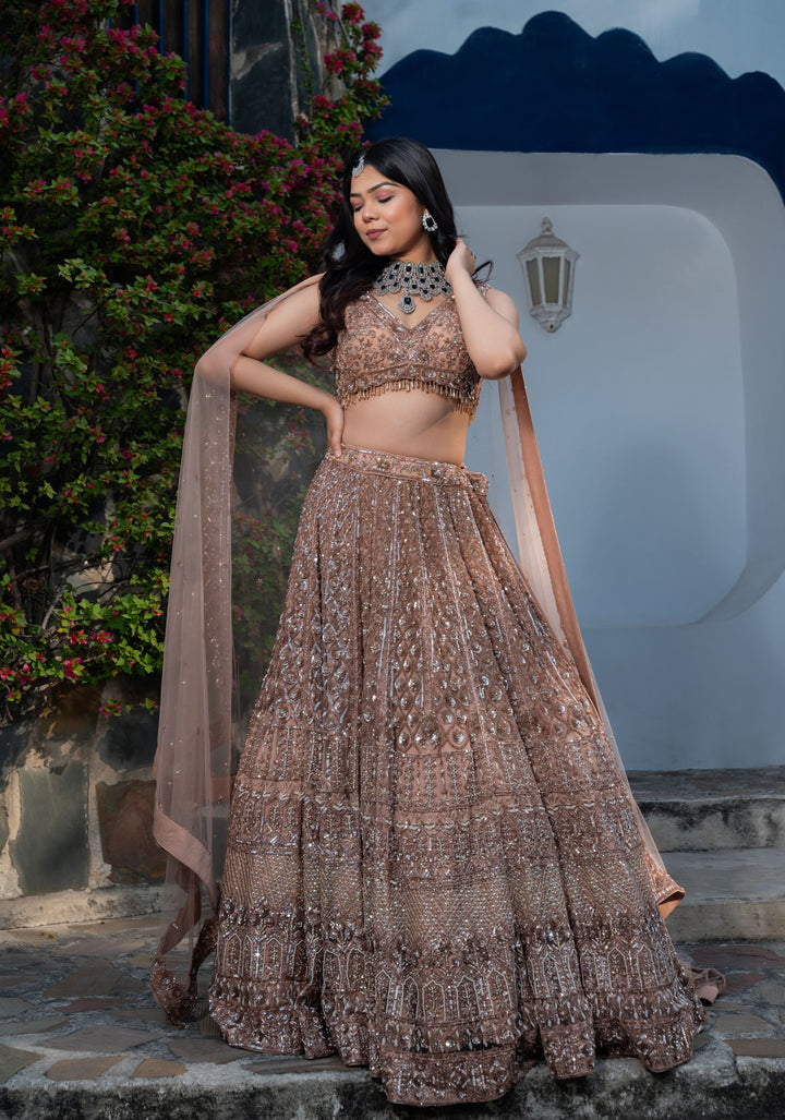 Golden Goddess Chikoo Color Wedding Lehenga with Handwork embellishments on net, Customizable, Made to Order