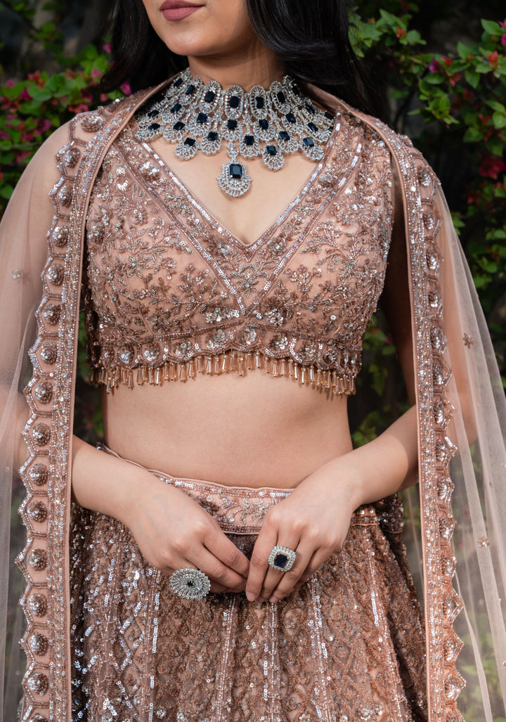 Golden Goddess Chikoo Color Wedding Lehenga with Handwork embellishments on net, Customizable, Made to Order