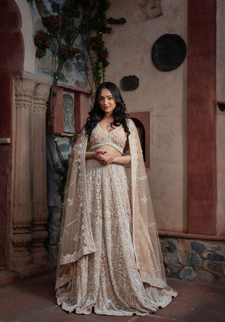 Exclusive Mystic Wedding Lehenga in Beige with embellishments on Net, Customizable, Made to Order