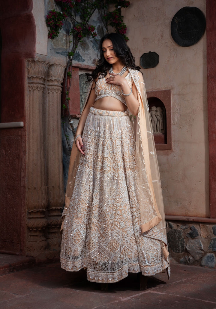 Exclusive Mystic Wedding Lehenga in Beige with embellishments on Net, Customizable, Made to Order