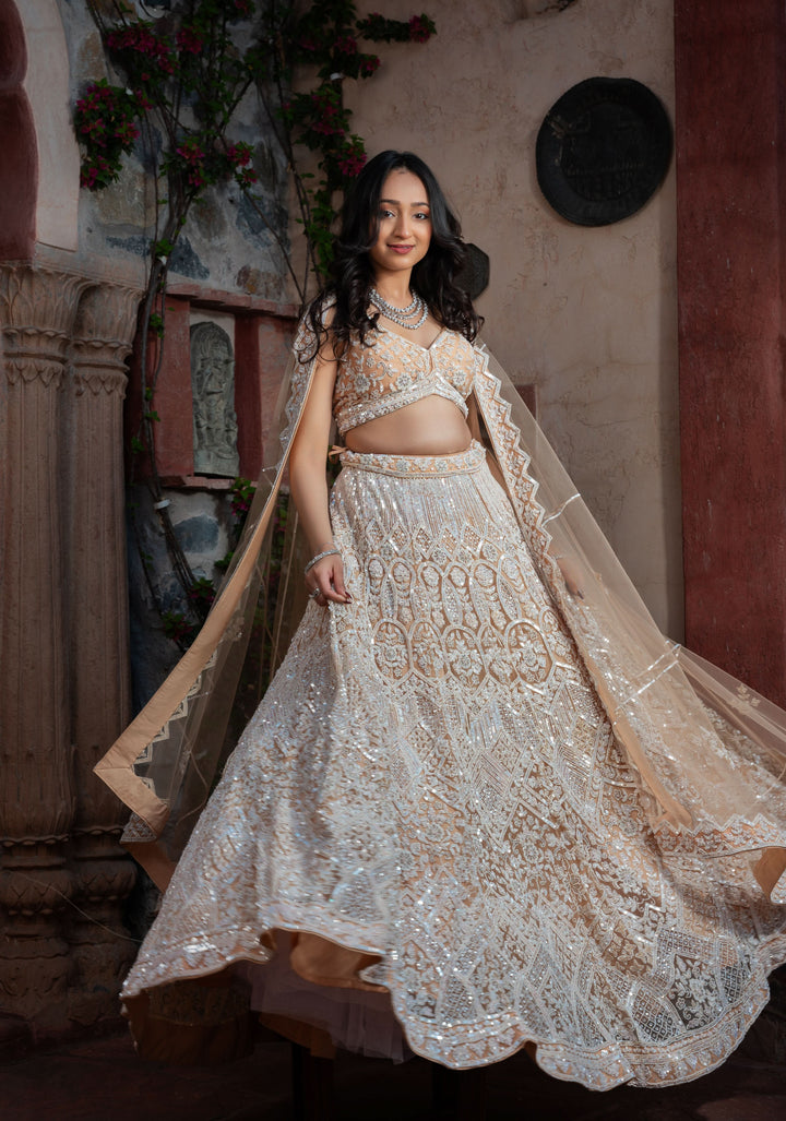 Exclusive Mystic Wedding Lehenga in Beige with embellishments on Net, Customizable, Made to Order