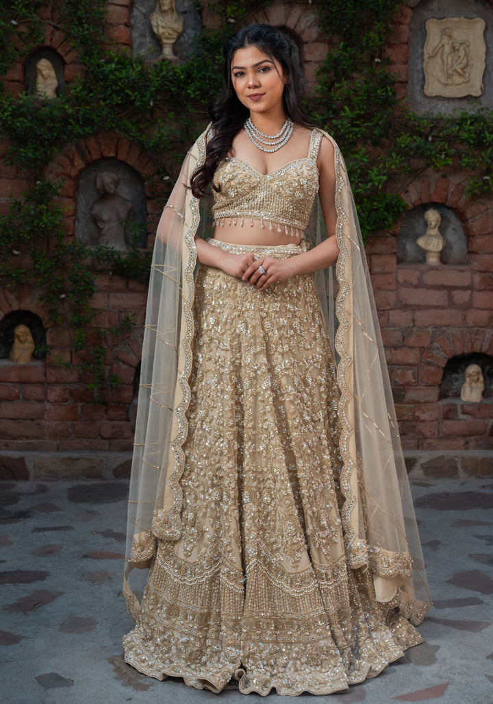 Exclusive Golden Sand dunes Lehenga with embellishments in Net, Customizable, Made to Order
