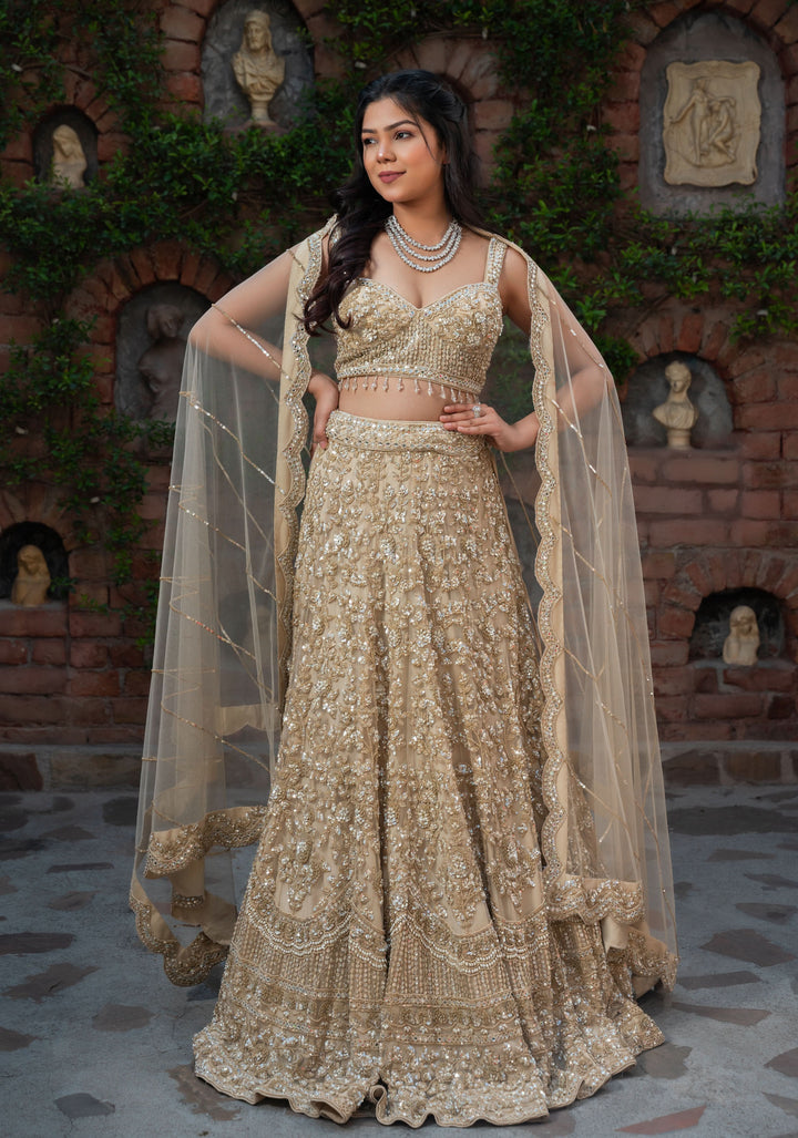 Exclusive Golden Sand dunes Lehenga with embellishments in Net, Customizable, Made to Order