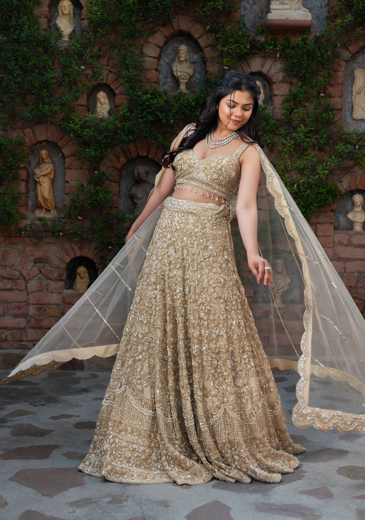 Exclusive Golden Sand dunes Lehenga with embellishments in Net, Customizable, Made to Order