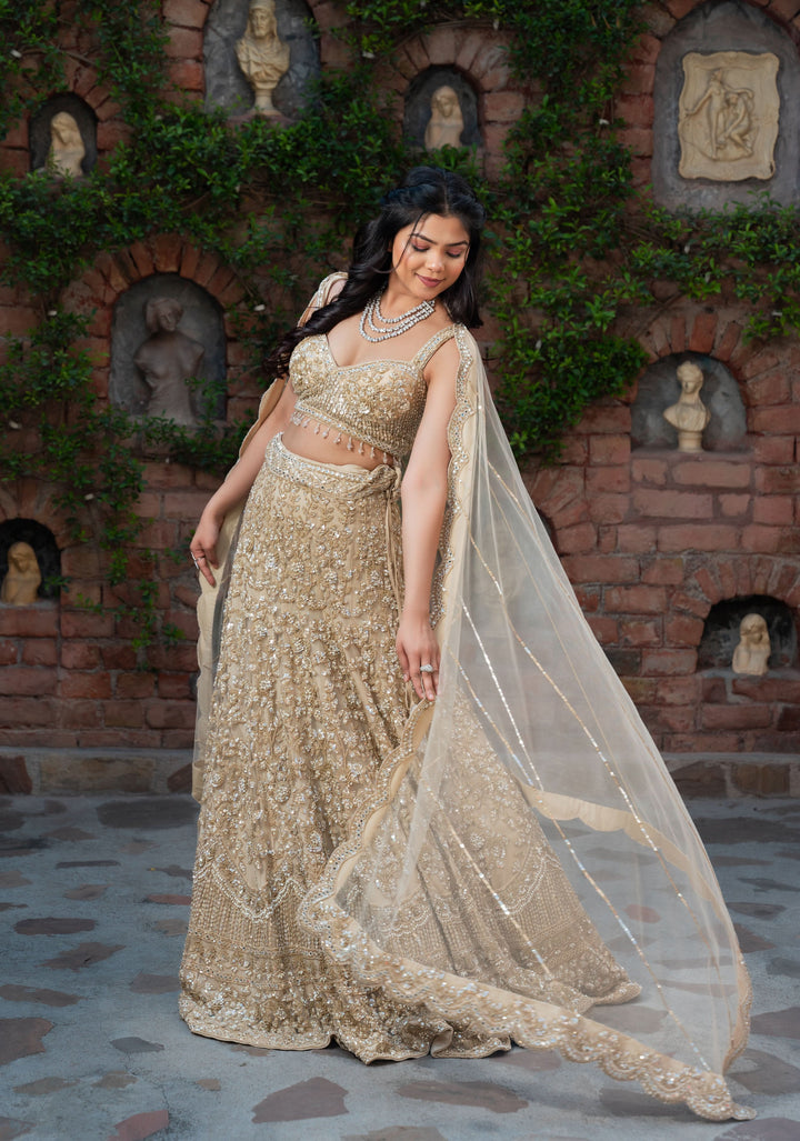 Exclusive Golden Sand dunes Lehenga with embellishments in Net, Customizable, Made to Order