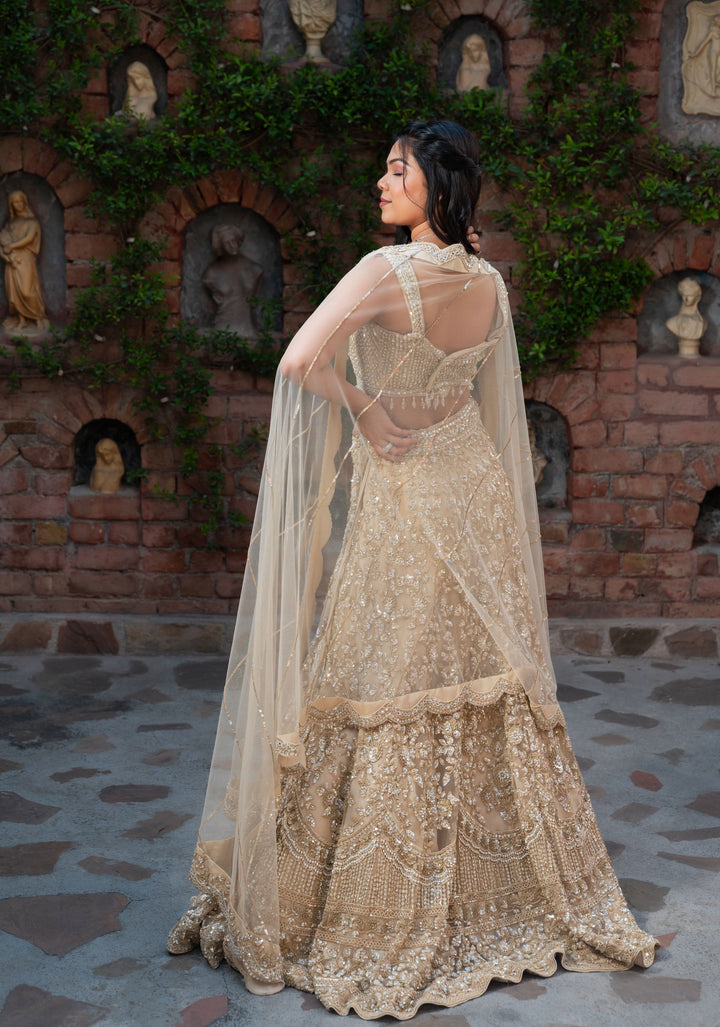 Exclusive Golden Sand dunes Lehenga with embellishments in Net, Customizable, Made to Order