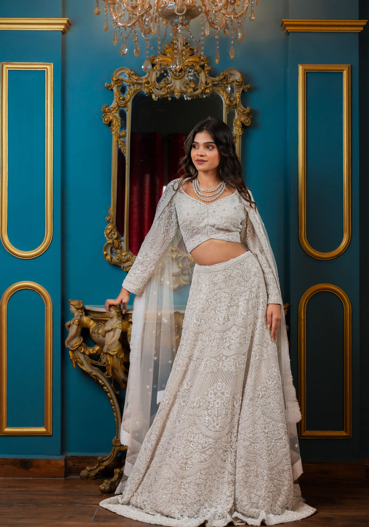 Modern Opulence Bridal Lehenga with hand-embroidery in Net, Customizable, Made to Order