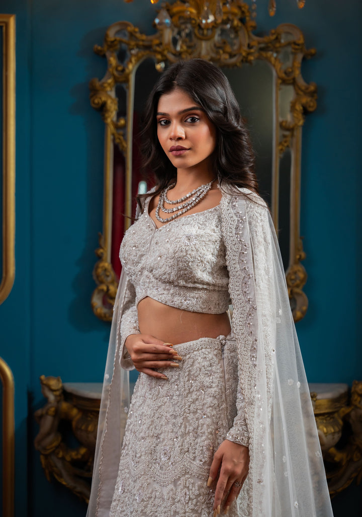 Modern Opulence Bridal Lehenga with hand-embroidery in Net, Customizable, Made to Order