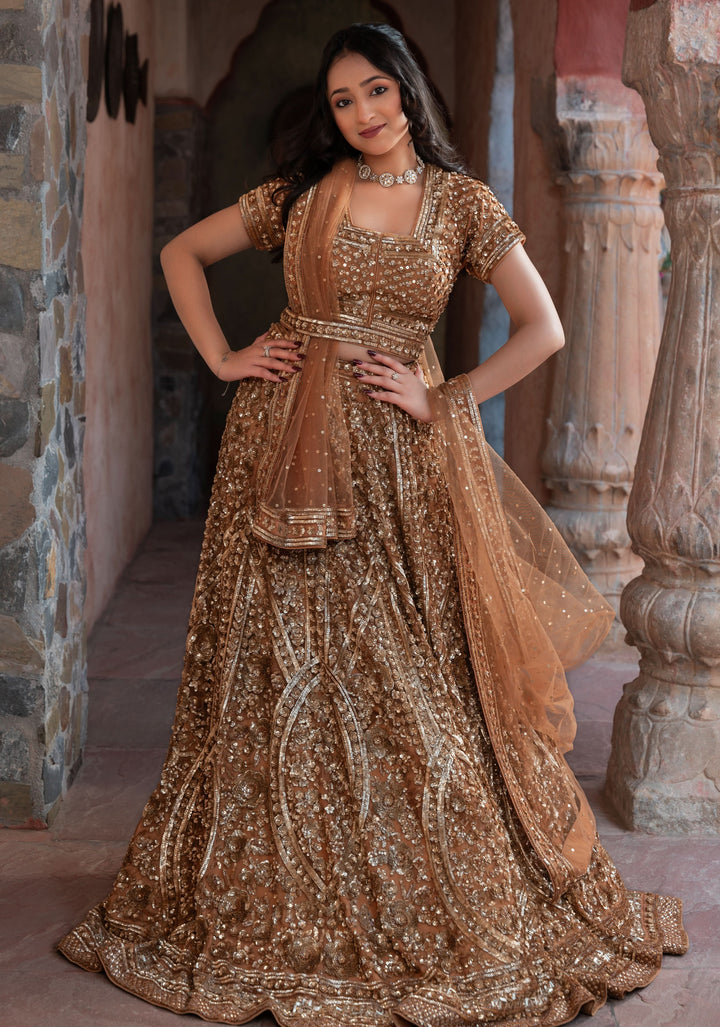 Exquisite Brown Lehenga with embellishments in net, Customizable, Made to Order