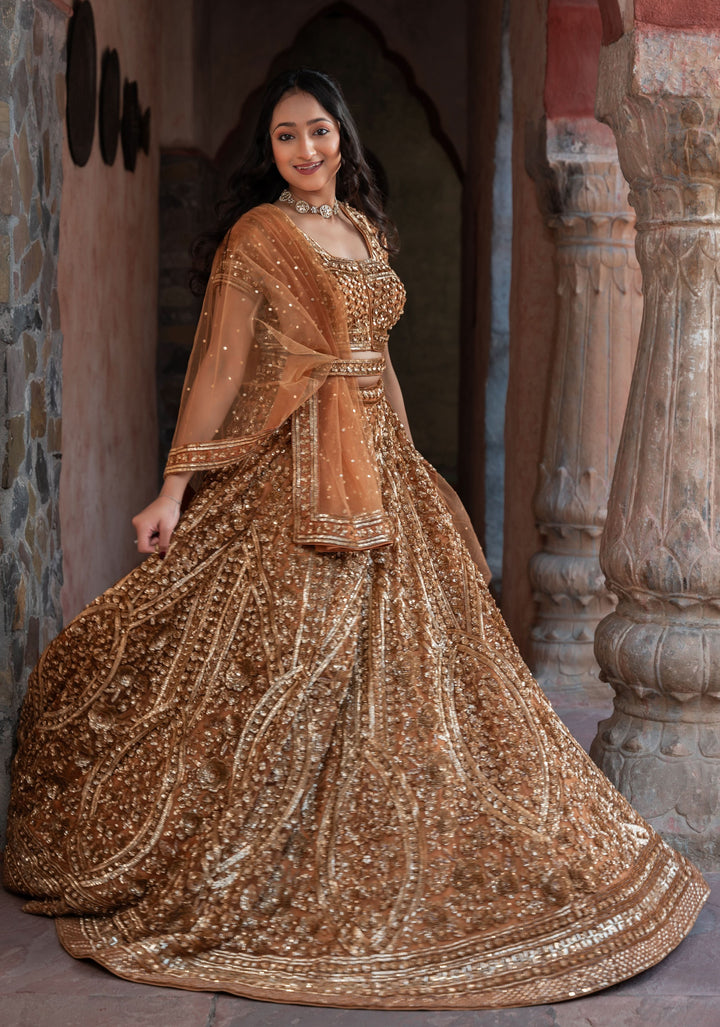 Exquisite Brown Lehenga with embellishments in net, Customizable, Made to Order